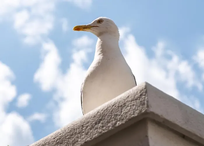 公寓 Aristocratic 2bdrm *