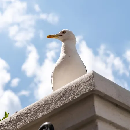 شقة Aristocratic 2bdrm *